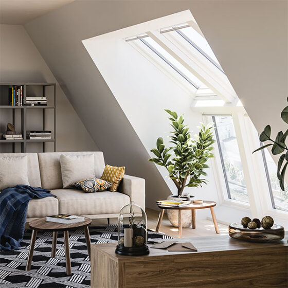 baeniskript-velux-thum